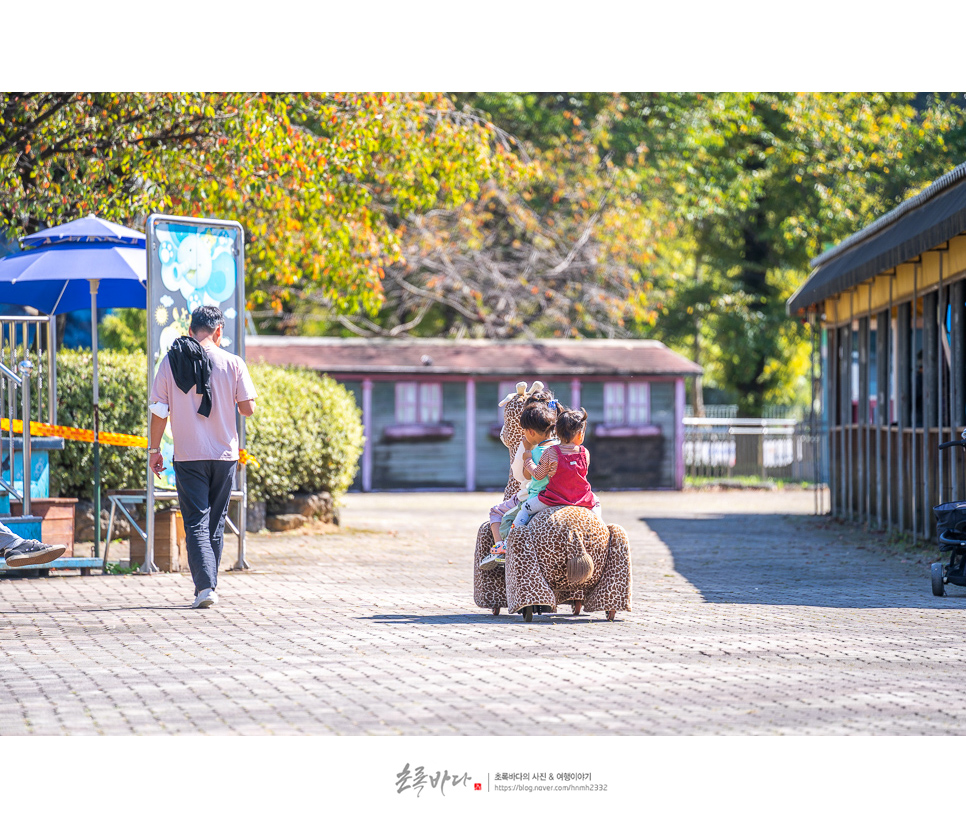 서울근교 당일치기 여행 파주 하니랜드 놀이공원 파주 놀거리
