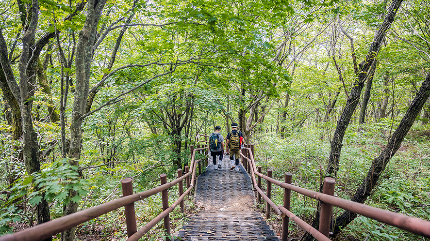 강원도 오대산 국립공원 노인봉 등산 코스 진고개휴게소 출발