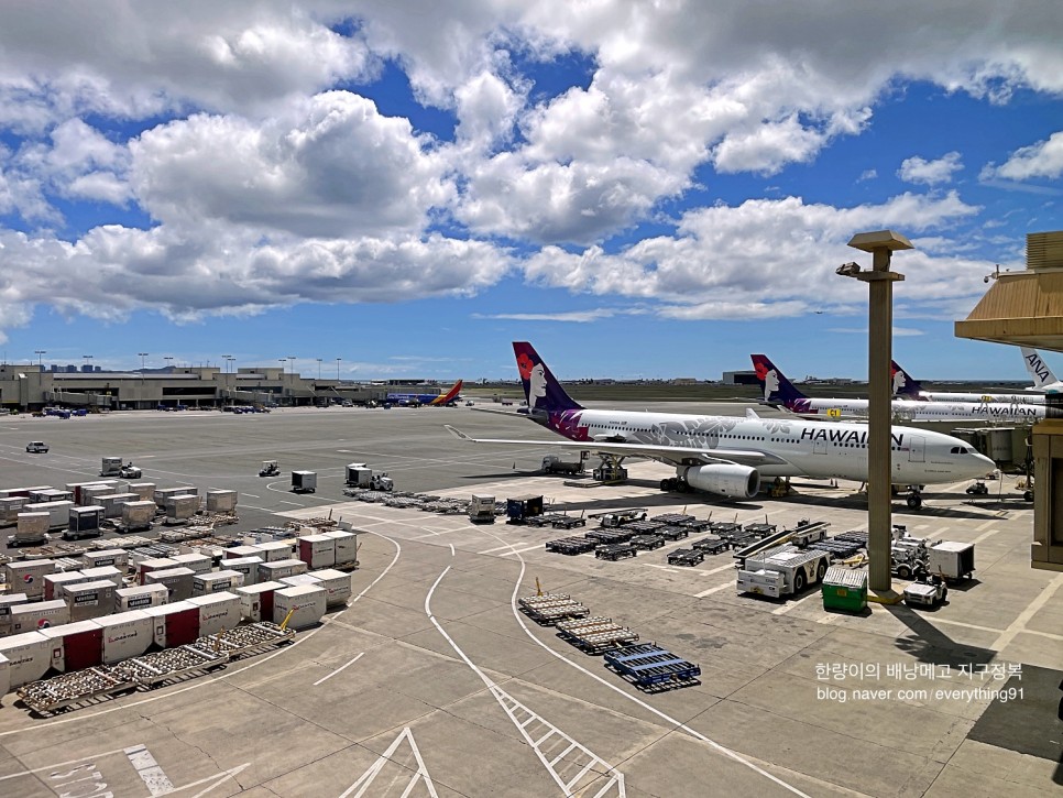 하와이안 항공 실시간 하와이 입국 공항에서 와이키키 이동