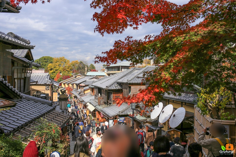일본 단풍 시기 관광지 일본 여행 비자 발급 면제 입국 조건