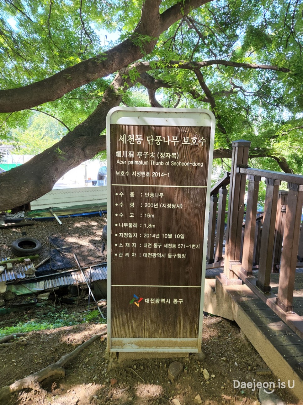 대전힐링명소③ 산책하기 좋은 세천근린공원(세천유원지) 즐겨요~
