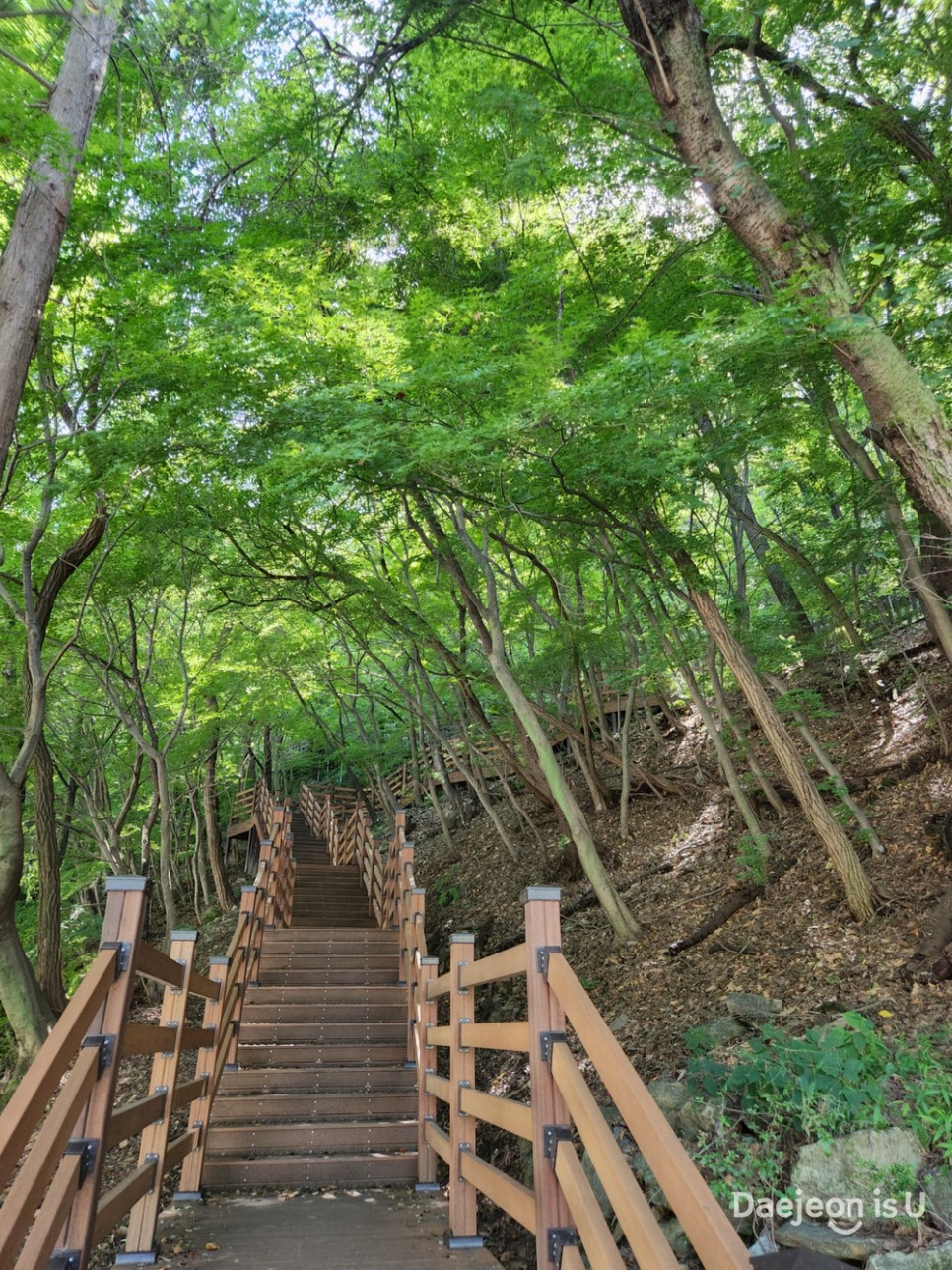 대전힐링명소③ 산책하기 좋은 세천근린공원(세천유원지) 즐겨요~