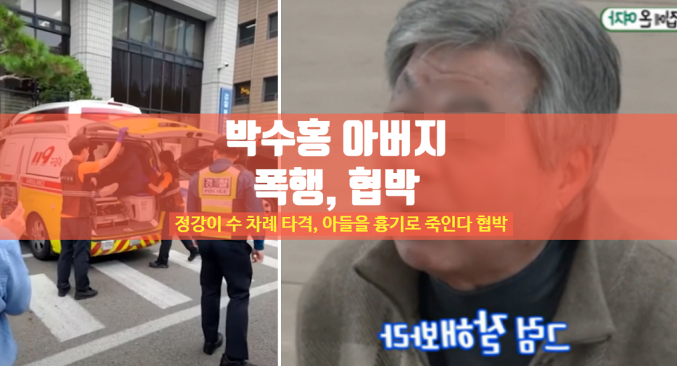 박수홍 부친에게 폭행 당해 병원 아버지 흉기 협박까지 형 횡령 사건 이름 나이 프로필 인스타 형수 재산 200억