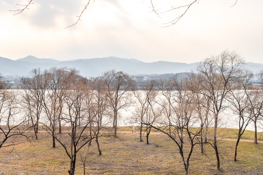 니콘 D750 촬영, 양평 물소리길 4코스 갈산공원 길