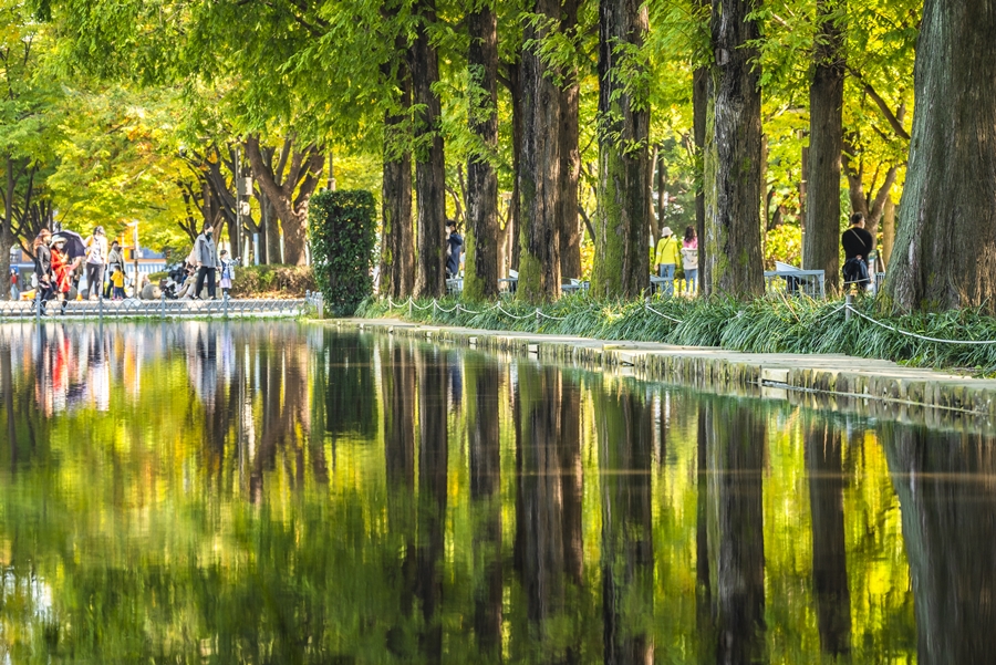 서울숲 풍경, 니콘 Z5, Z 24-200mm F4-6.3 VR렌즈 촬영