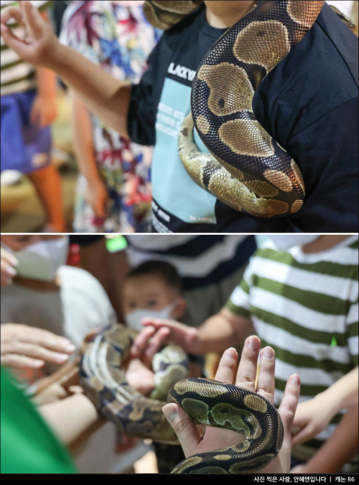 주말 나들이 아이와 강릉 가볼만한곳 강릉 여행코스 볼거리