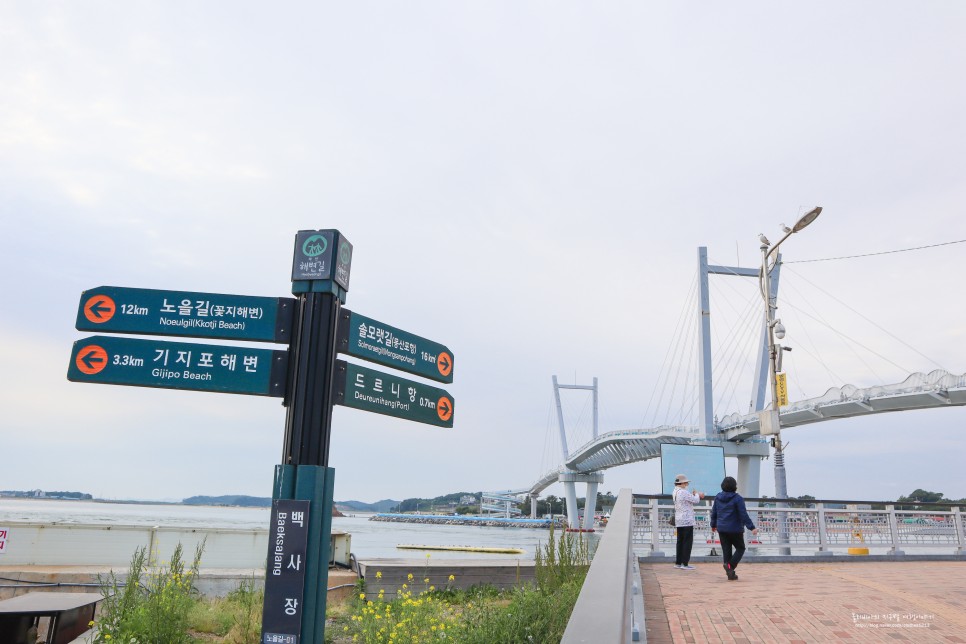 태안 안면도 먹거리 수산시장 백사장항 드르니항 대하 꽃게가 제철