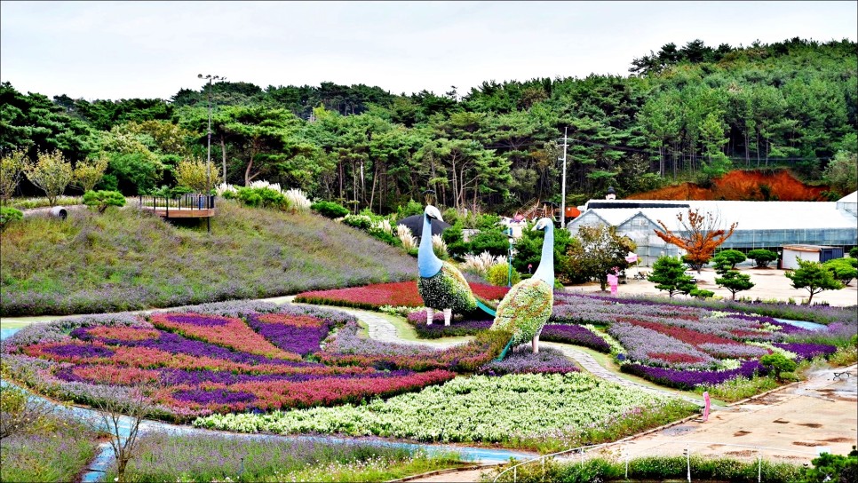 충남 태안 가볼만한곳 안면도 꽃지해수욕장 外 태안여행코스!