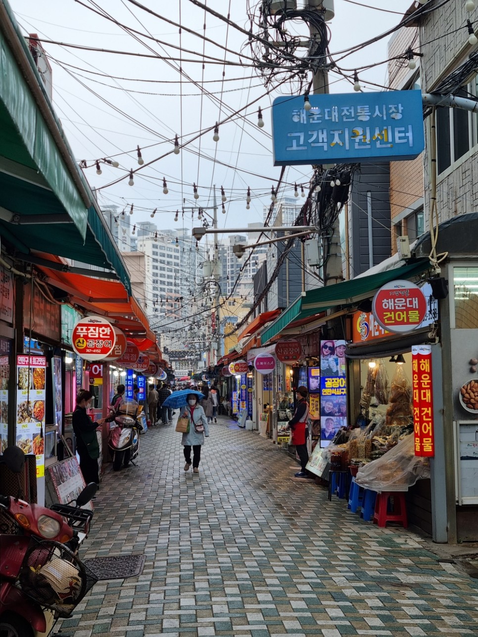 뉴질랜드 촌놈의 부산 해운대 2박 3일 여행 코스