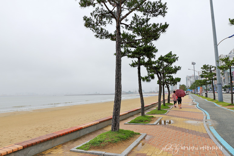 포항 가볼만한곳 포항 관광지, 카페 등 드라이브 코스