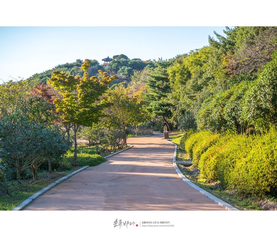 태안 안면도 여행 안면도 수목원 태안 볼거리