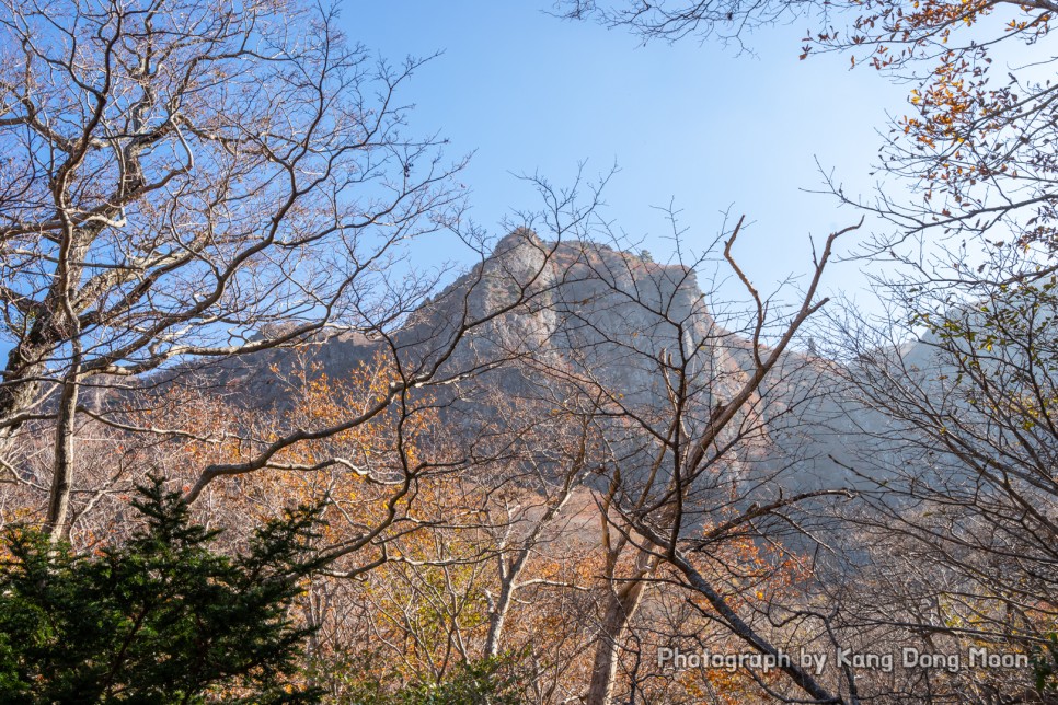 제주도 여행지 추천 가을 단풍명소 제주 관광지 한라산 국립공원 등산코스 영실코스