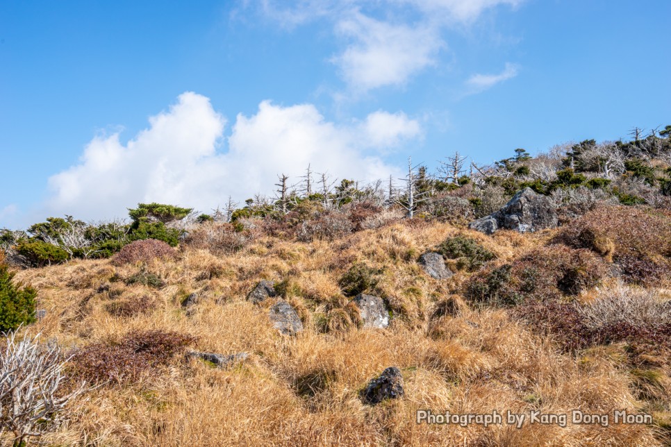 제주도 여행지 추천 가을 단풍명소 제주 관광지 한라산 국립공원 등산코스 영실코스