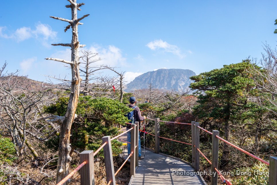 제주도 여행지 추천 가을 단풍명소 제주 관광지 한라산 국립공원 등산코스 영실코스