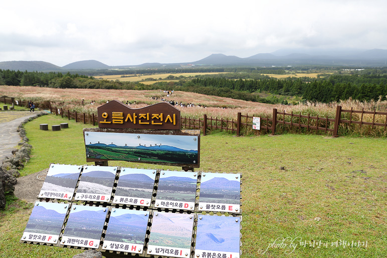 제주도 억새 명소 제주 산굼부리 10월 가볼만한곳 가을여행지