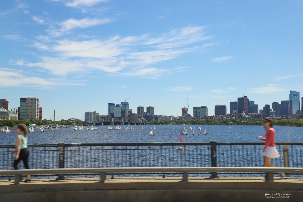 미국여행 미국동부여행 뉴욕에서 보스턴 여행 당일치기 투어