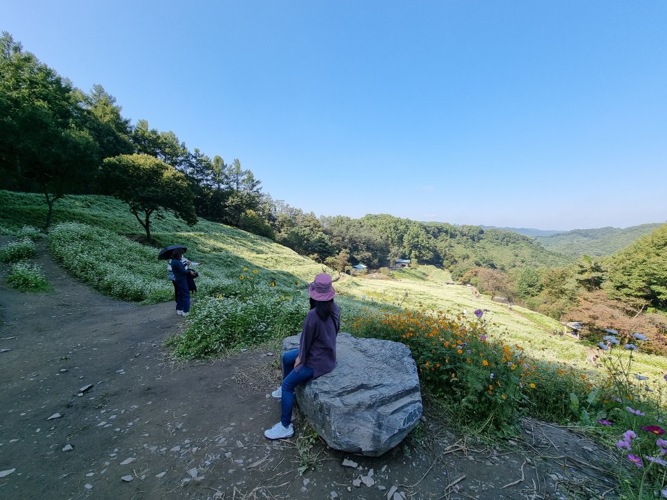 아트리스트, 유튜브 배경음악 사이트 Artlist 자세히 알아보기