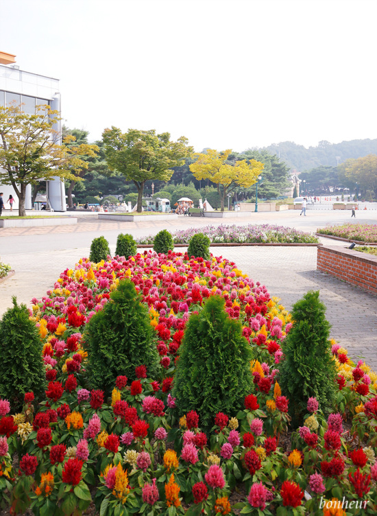 서울근교 갈만한곳 아이와 렛츠런파크 서울 10월 주말나들이 가볼만한곳
