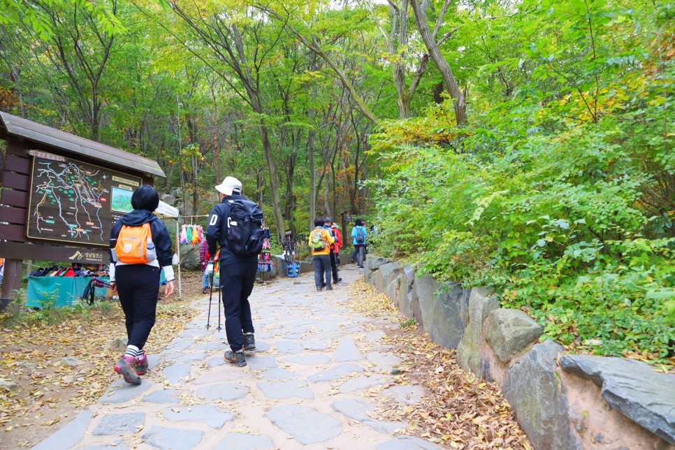 울산 가볼만한곳 영남알프스 간월재 억새 군락지 간월산 등산 추천