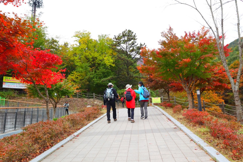 울산 가볼만한곳 영남알프스 간월재 억새 군락지 간월산 등산 추천