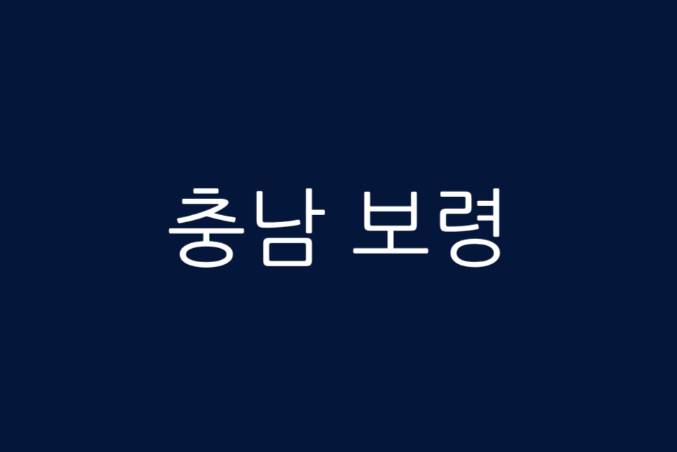 바퀴달린집4 출연진 게스트 시즌4 정보 방송시간