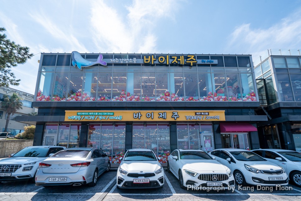 제주도 기념품 선물 추천 제주공항 기념품샵 특산품 제주 소품샵