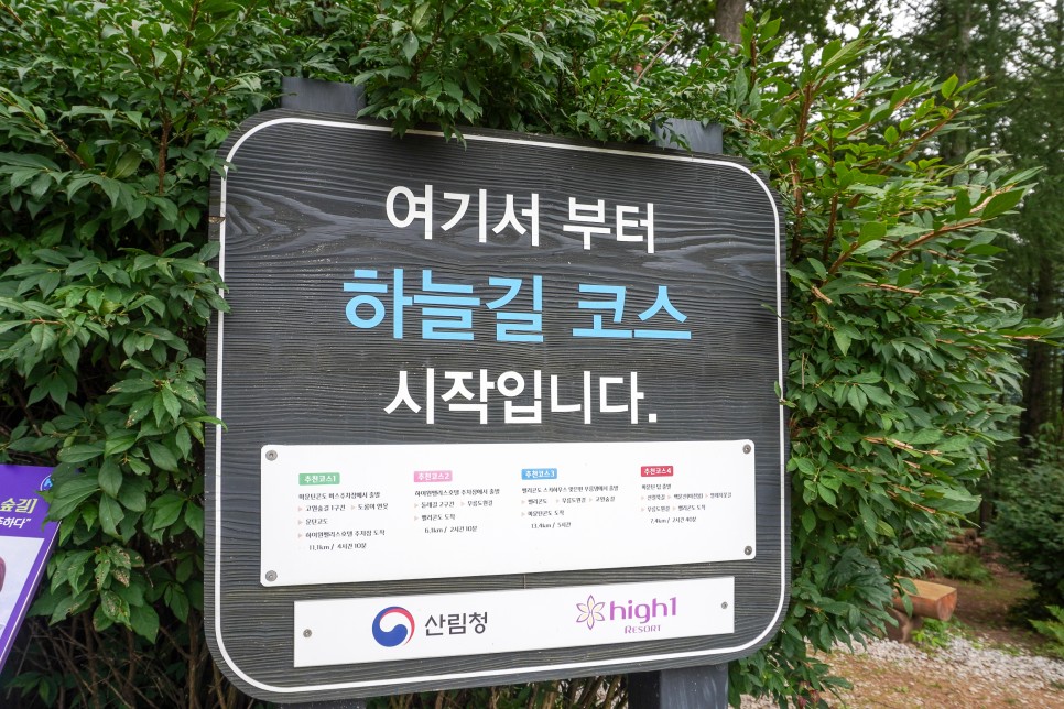 정선 여행 '도롱이연못' 천원짜리변호사 촬영지 풍진호수