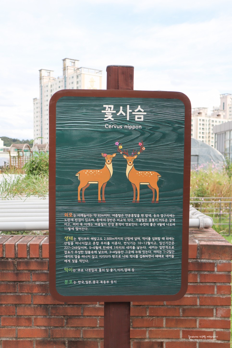 서울 공원 추천 북서울꿈의숲 강북 가볼만한곳 볼거리