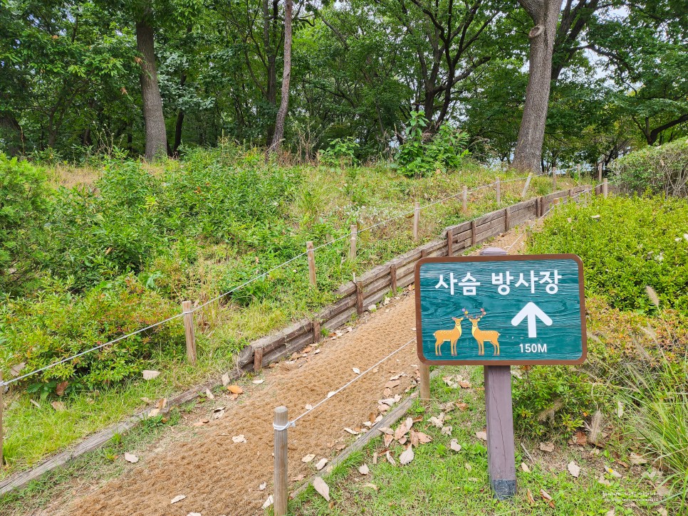 서울 공원 추천 북서울꿈의숲 강북 가볼만한곳 볼거리