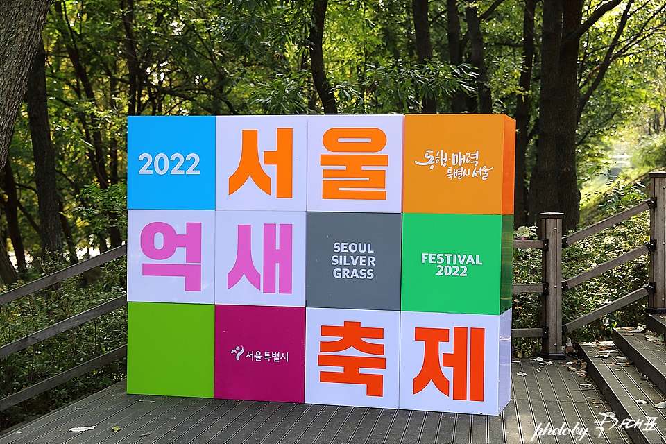 서울 억새축제 상암 하늘공원 서울 여행 코스 맹꽁이전동차