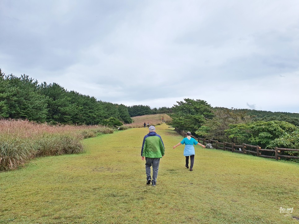 10월 제주도여행 가볼만한곳 산굼부리 억새