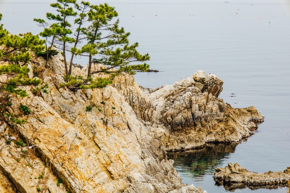 삼척 가볼만한곳 놀거리 해상 케이블카 장호항