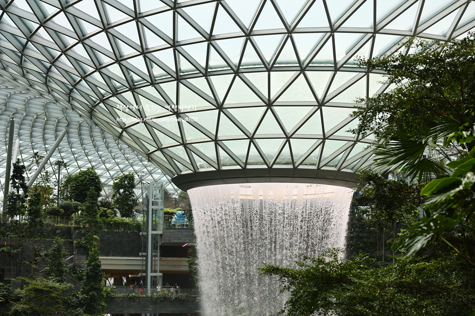 싱가포르여행 창이공항 쥬얼창이 폭포 위치,시간