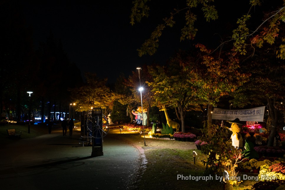 대전 가볼만한곳 가을축제 당일치기 여행 코스 명소 대전 유림공원 국화축제