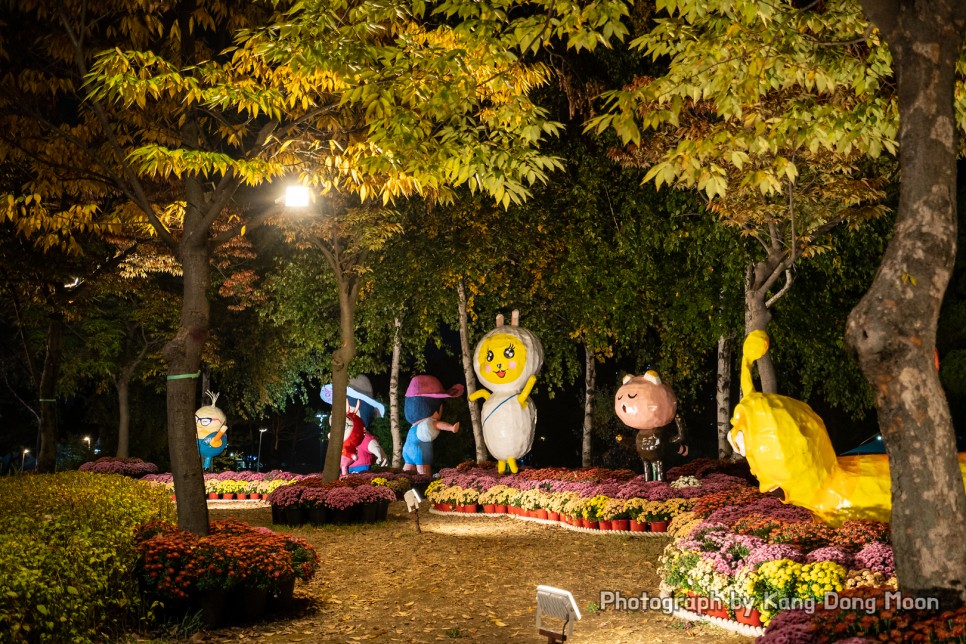 대전 가볼만한곳 가을축제 당일치기 여행 코스 명소 대전 유림공원 국화축제