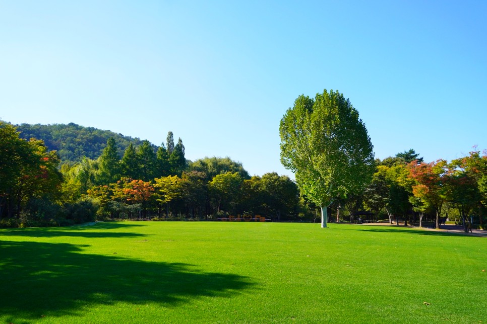 대구 가볼만한곳 대명유수지 대구수목원 대구 여행 코스