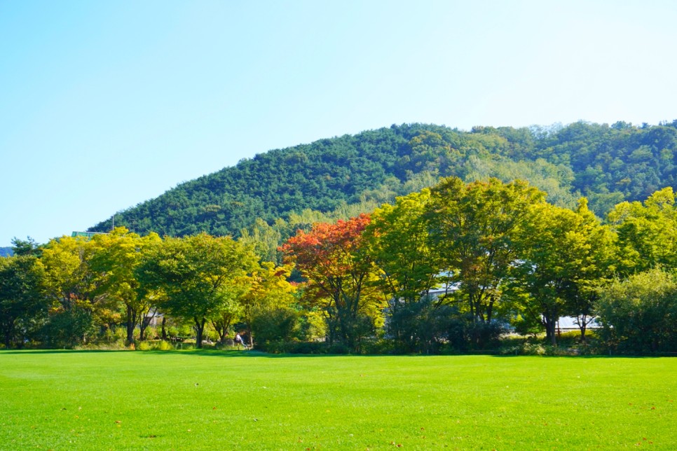 대구 가볼만한곳 대명유수지 대구수목원 대구 여행 코스