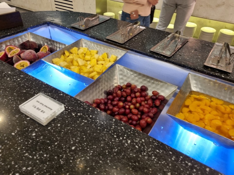 인천공항 라운지 제2여객터미널 마티나라운지 위치 이용권 가격 음식