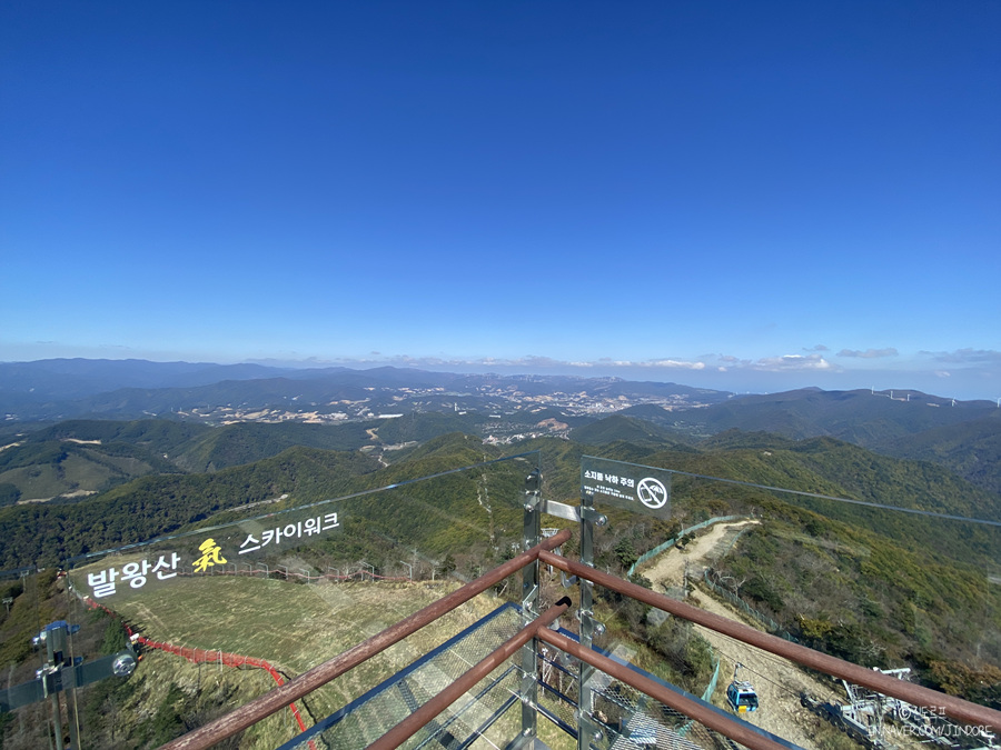 강원도1박2일여행지 모나파크 용평리조트 발왕산 스카이워크 천년주목숲길