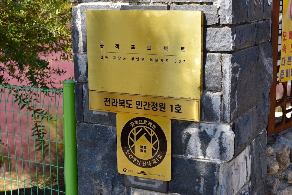 전북 고창 핑크뮬리 축제 꽃객프로젝트 후기 카페
