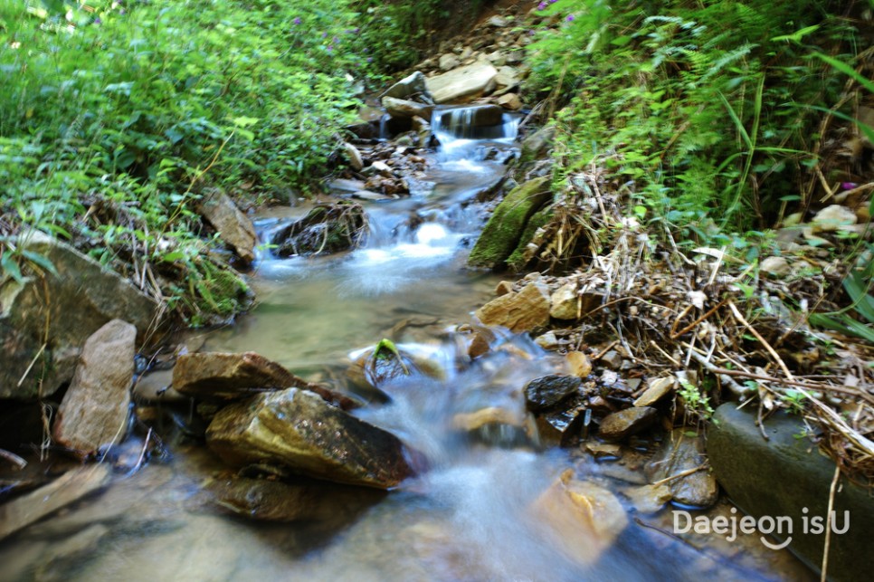 계족산 황톳길 맨발걷기 체험과 가을 산림욕을 즐기는 장동산림욕장
