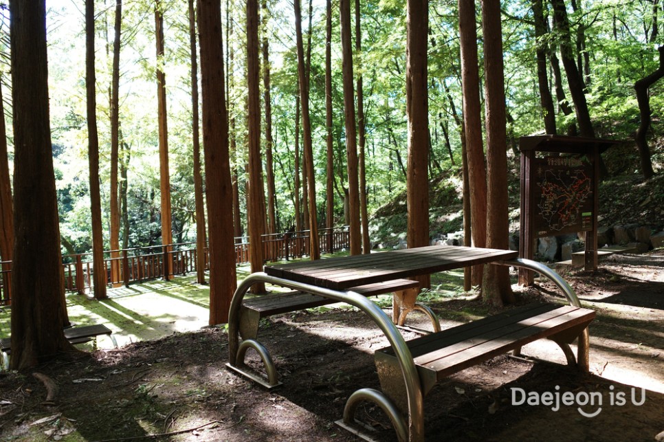 계족산 황톳길 맨발걷기 체험과 가을 산림욕을 즐기는 장동산림욕장