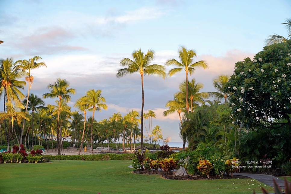 하와이 호텔 빅아일랜드 숙소 페어몬트 오키드 리조트 골프