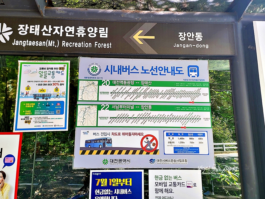 대전 가볼만한곳 장태산 자연휴양림 출렁다리