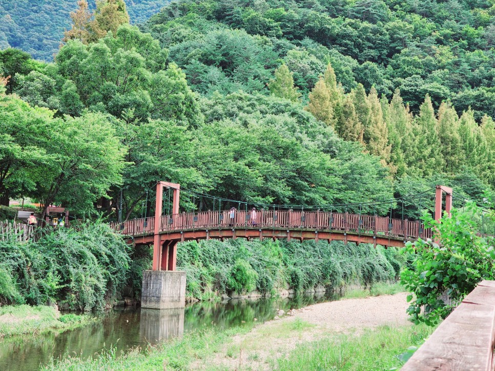 대전둘레산길 아래 산림욕과 함께하는 캠핑 명소, 상소오토캠핑장