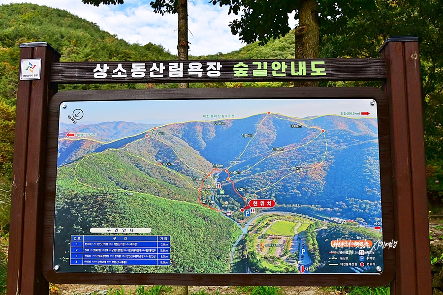 대전 갈만한곳 대전 근교 오토 캠핑장 상소동 산림욕장