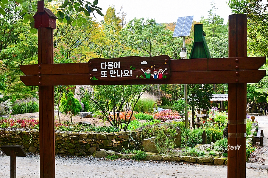 대전 갈만한곳 대전 근교 오토 캠핑장 상소동 산림욕장