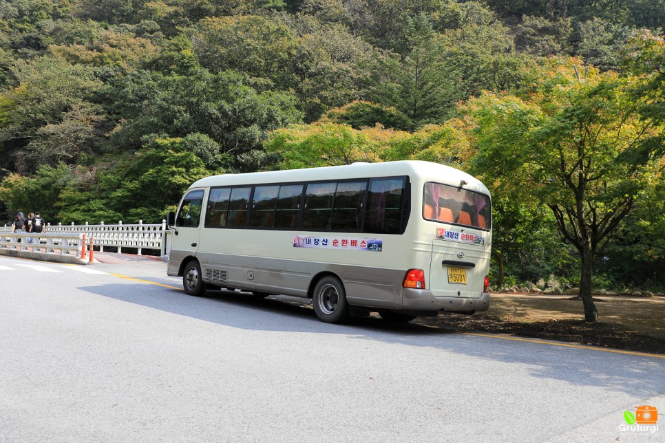 내장산 단풍시기 내장산 국립공원 내장사 내장산 케이블카 단풍여행