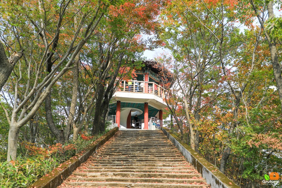 내장산 단풍시기 내장산 국립공원 내장사 내장산 케이블카 단풍여행