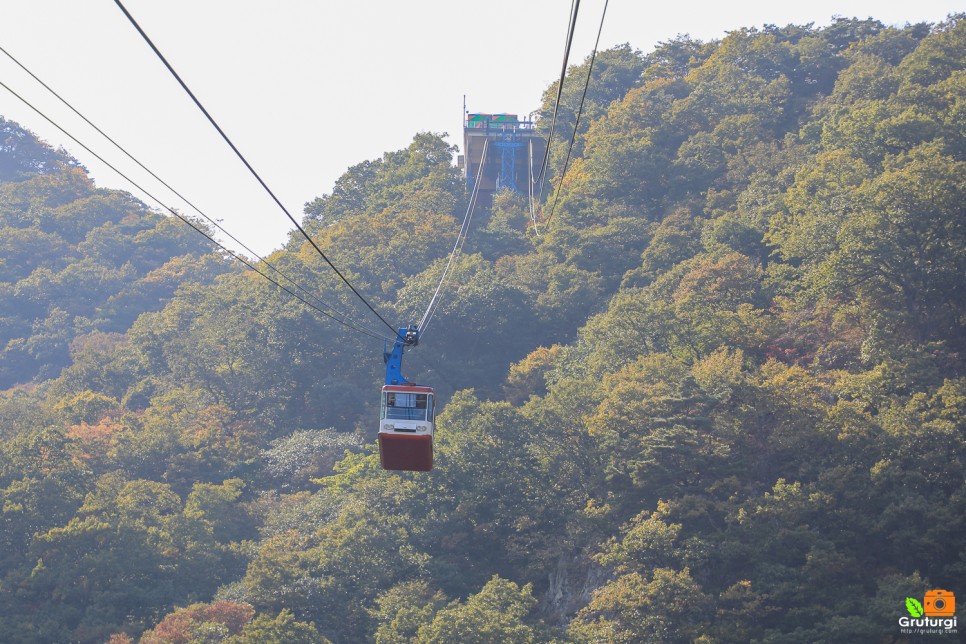 내장산 단풍시기 내장산 국립공원 내장사 내장산 케이블카 단풍여행